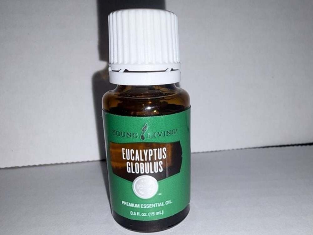 Young Living Eucalyptus Globulus Premium Essential Oil 15ml